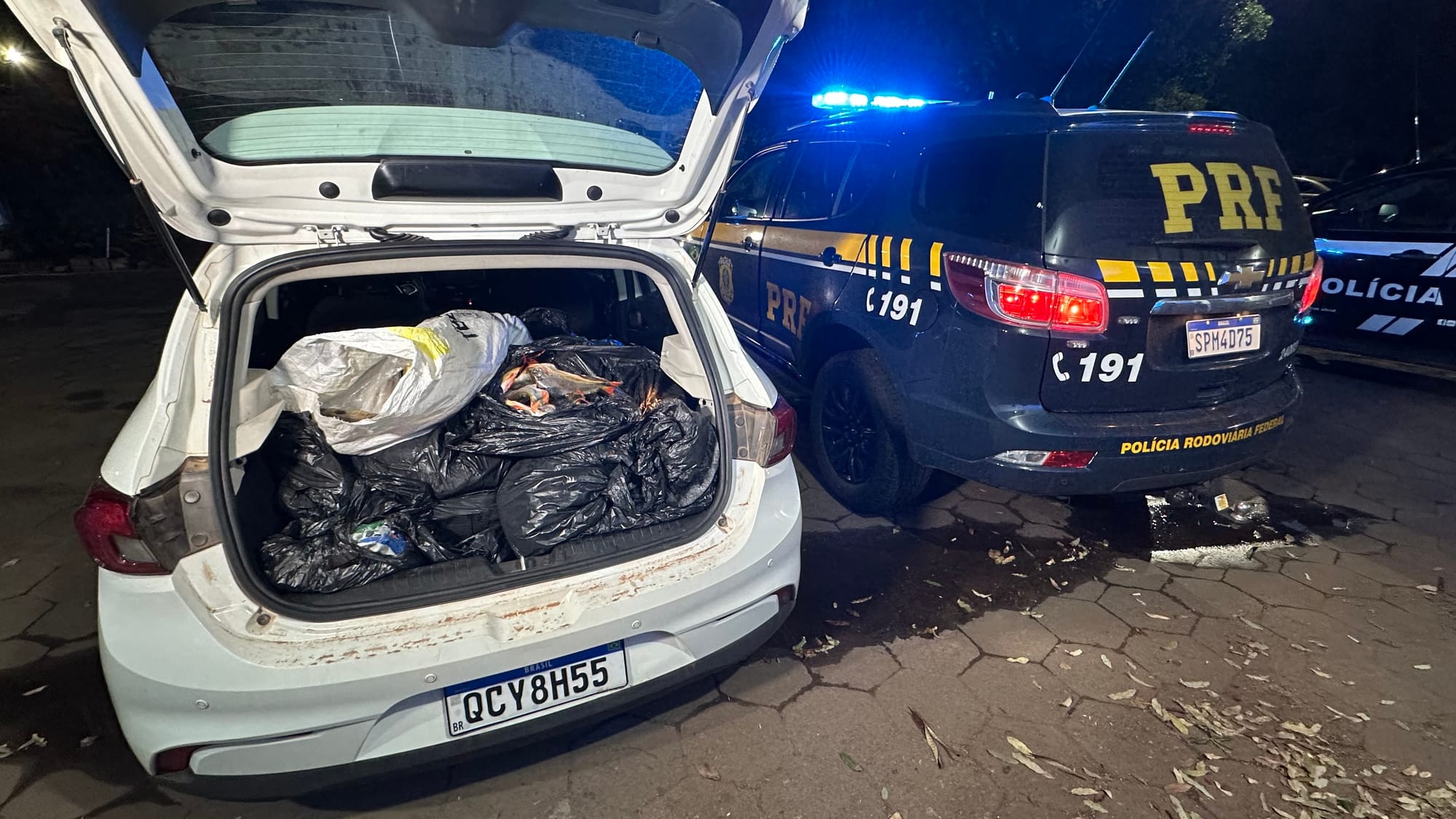 PRF apreende 300 quilos de pescado irregular em carro adaptado e prende dois homens na BR-364