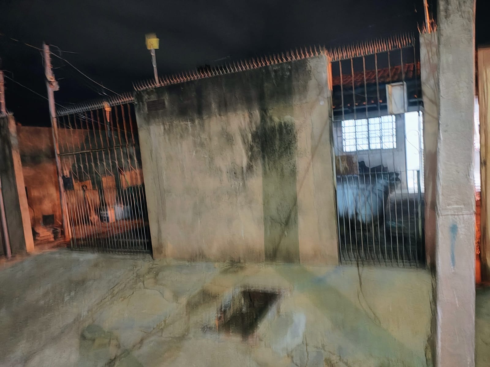 Idosa morre após ataque de cachorro no bairro Jardim Ikaray, em Várzea Grande