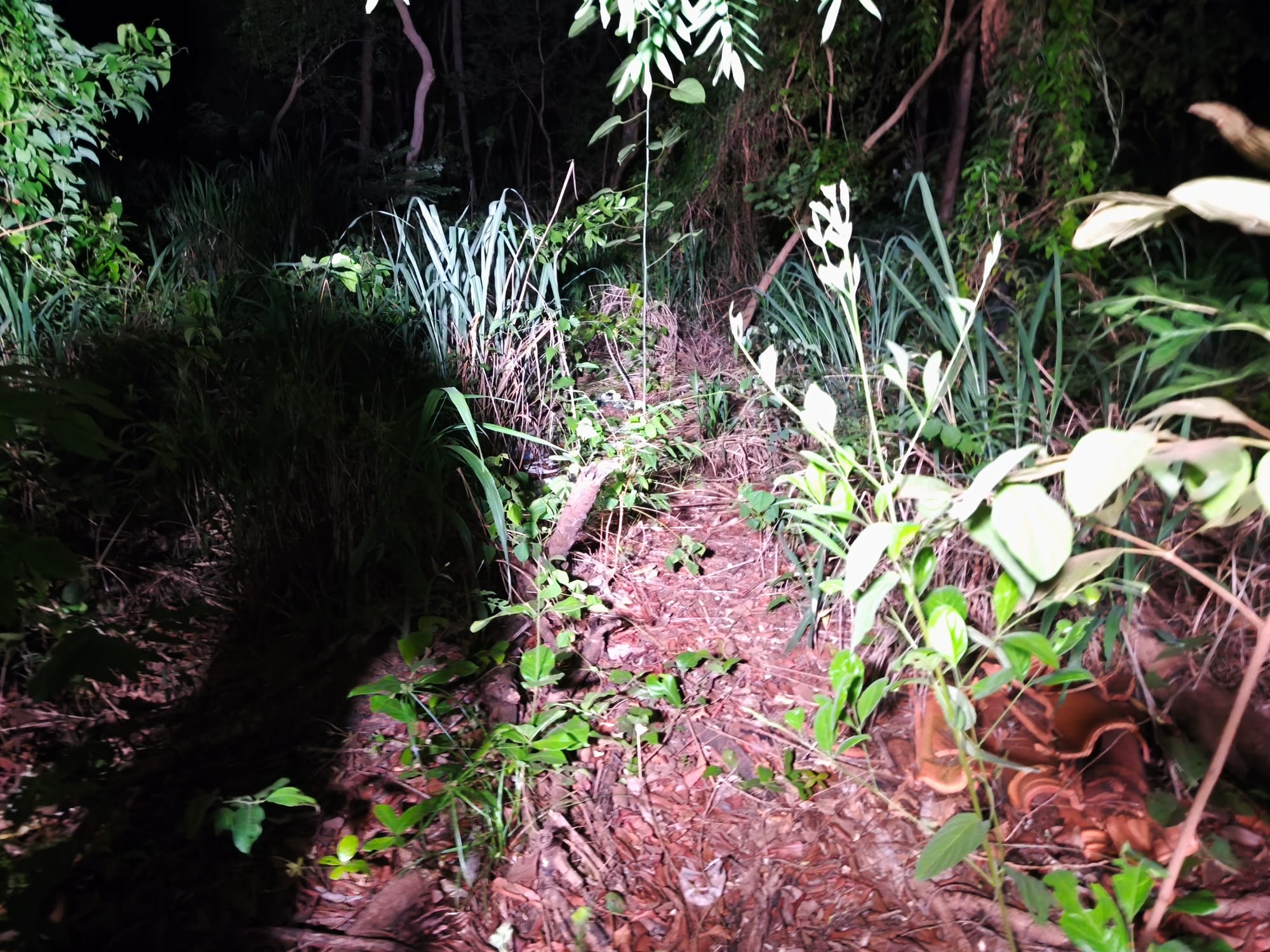 Sequestro: homem é levado por faccionados, espancado até desmaiar em várzea Grande