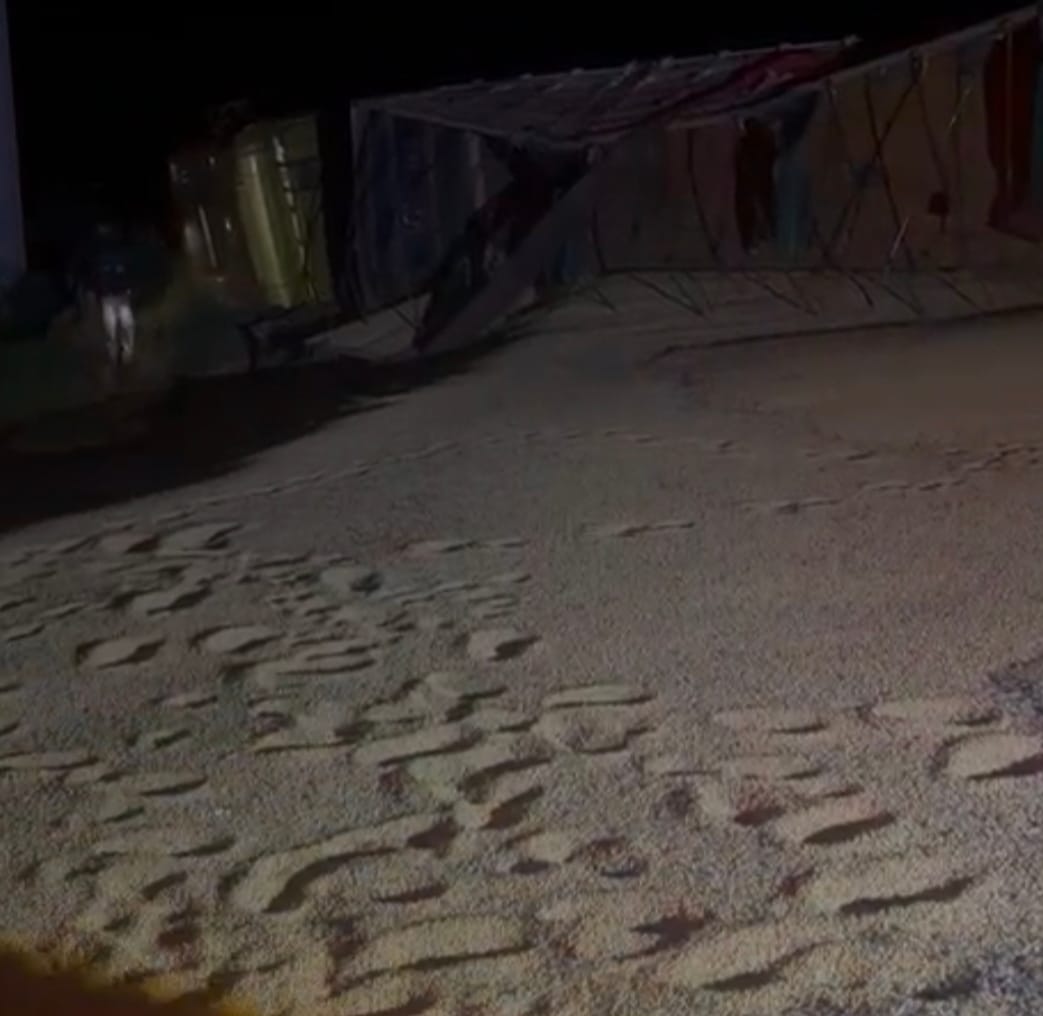 Carreta carregada de soja capota em curva na MT-241