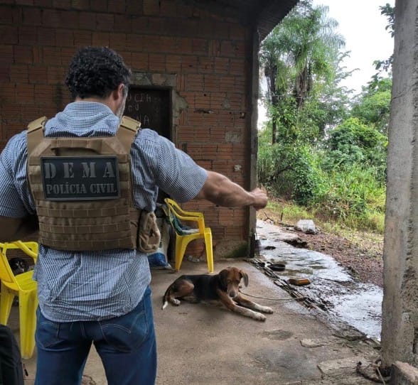 Homem é preso após ser filmado abusando de cachorro