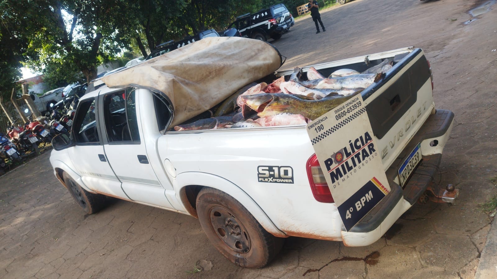 FLAGRANTE EM VÁRZEA GRANDE: CAMINHONETE CLONADA E QUASE MEIA TONELADA DE PEIXE IRREGULAR APREENDIDA
