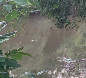 URGENTE: Corpo Desaparece no Rio do Manduquinha em Cuiabá Após Ser Visto Boiando