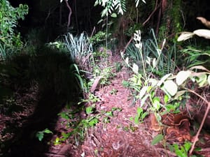 Sequestro: homem é levado por faccionados, espancado até desmaiar em várzea Grande