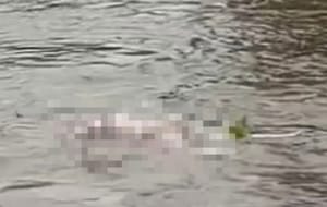 URGENTE: Neste momento corpo é encontrado no Rio Coxipó, na Avenida das Torres, em Cuiabá