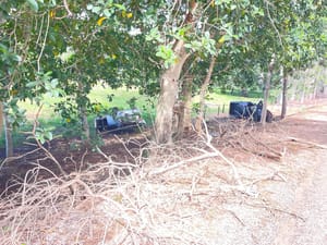 Ultrapassagem mal calculada termina em batida, capotamento e três feridos na MT-175