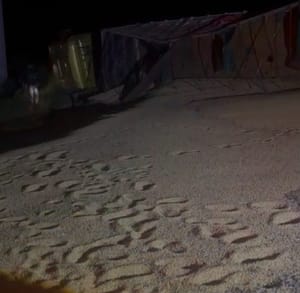 Carreta carregada de soja capota em curva na MT-241