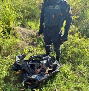 🚨 Guarda Municipal encontra “cemitério” de motos furtadas em Várzea Grande